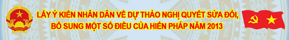 lay-y-kien-hien-phap-2013.jpg (53 KB)